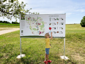 Natur zum Staunen 